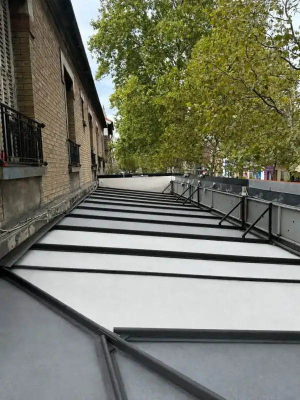 Nettoyage de Toiture